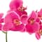 24" Real Touch™ Pink Orchid in a Striped Ceramic Pot